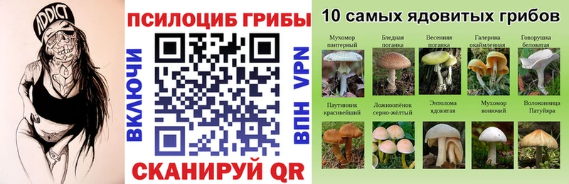 Галлюциногенные грибы Psilocybine cubensis  где найти наркотики  Ульяновск 
